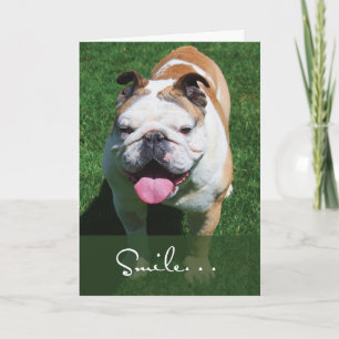 Leende, Tänker på dig, Bulldog Kort