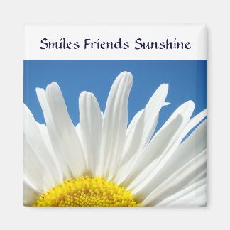 Leenden Vänner Solsken magnet present Daisy