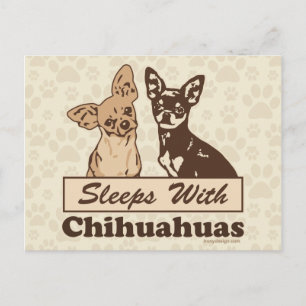 Leeps with Chihuahuas Vykort