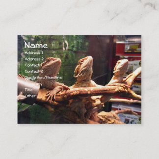 Leezerds visitkortar visitkort