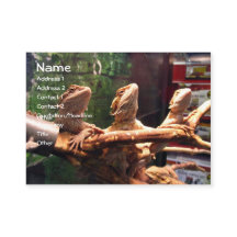 Leezerds visitkortar