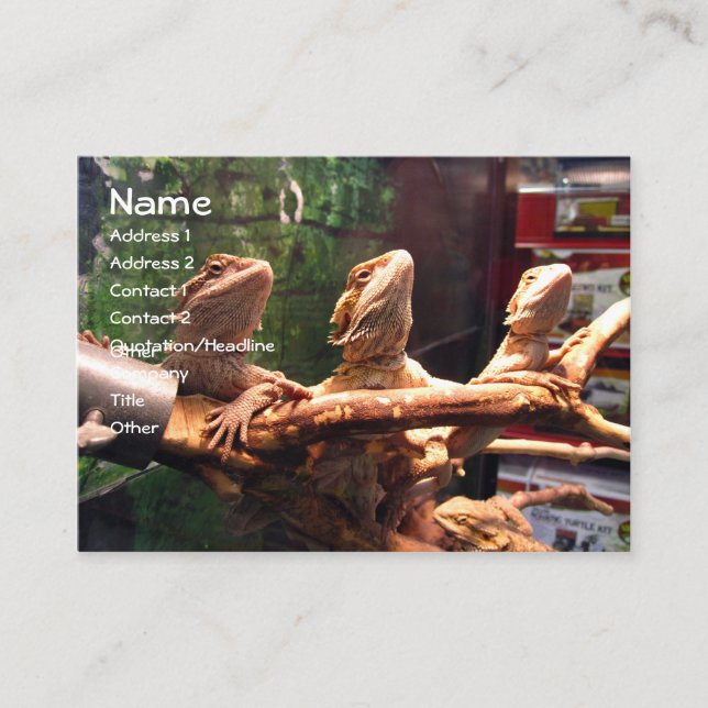 Leezerds visitkortar visitkort (Framsida)