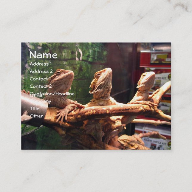 Leezerds visitkortar visitkort (Framsida)