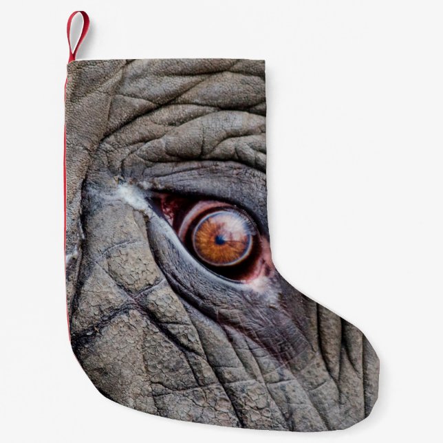 Lefältfiber öga nära liten julstrumpa (Framsidan)