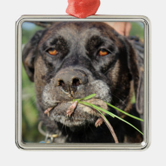 Lefty & Voleprydnaden Julgransprydnad Metall