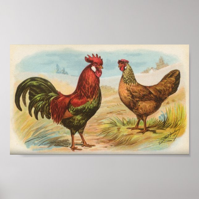 Leghorns Poster (Framsidan)