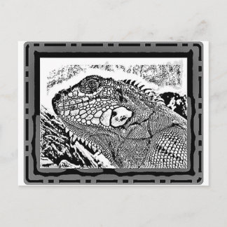 Leguan black/white vykort