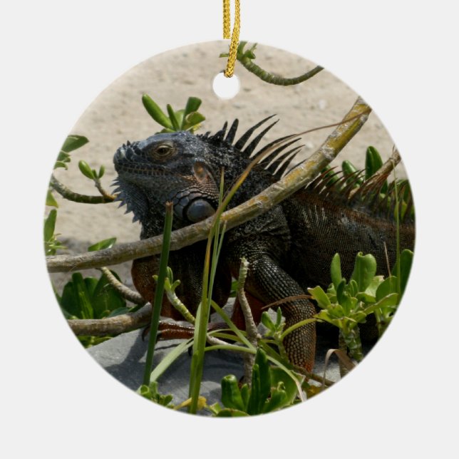 Leguan Julgransprydnad Keramik (Framsidan)