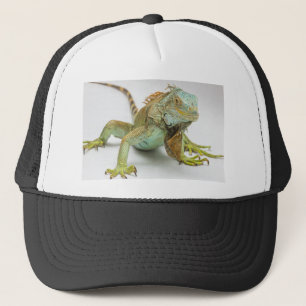 Leguan Keps