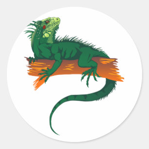 Leguan på en gren runt klistermärke