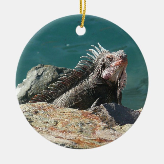 Leguan på St. Thomas Julgransprydnad Keramik (Framsidan)