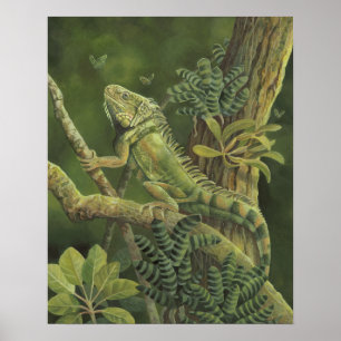 Leguan Poster