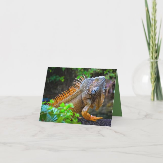 "Leguan"  Tack Kort (Framsida)