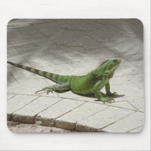 Leguanmousepad Musmatta