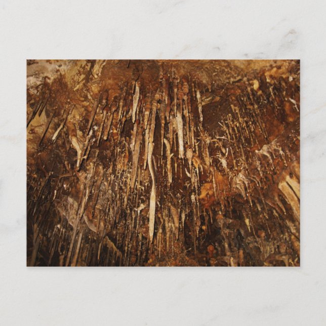 Lehman Cave Vykort (Framsida)