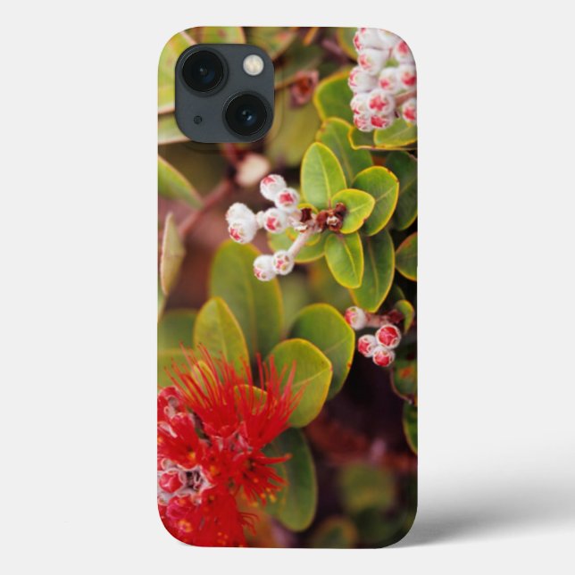Lehua-Blommar i Hawaii-Vulkaner (Baksida)