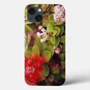 Lehua-Blommar i Hawaii-Vulkaner