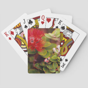 Lehua blommar i Hawaii vulkaner Casinokort