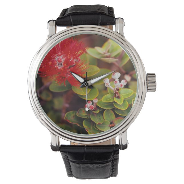 Lehua Blommor I Hawaii Vulkaner Armbandsur (Framsida)