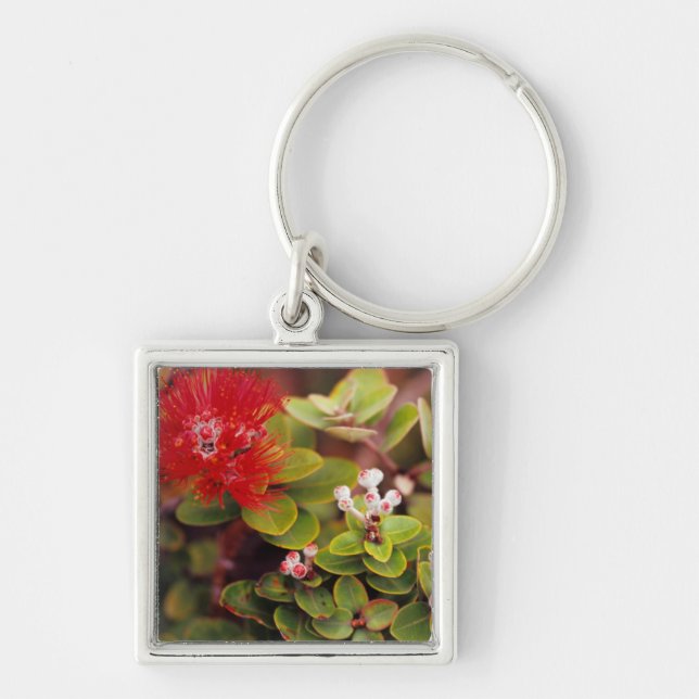 Lehua Blommor I Hawaii Vulkaner Fyrkantig Silverfärgad Nyckelring (Framsidan)