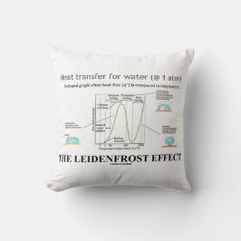 Leidenfrost-effekten kemi vatten kudde