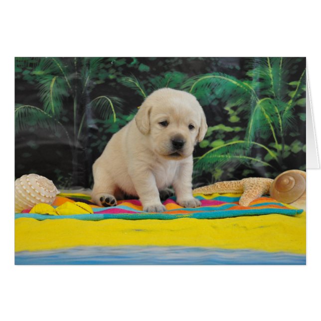 Leigh Ann vecka 2 Hälsningskort (Framsidan Horizontal)