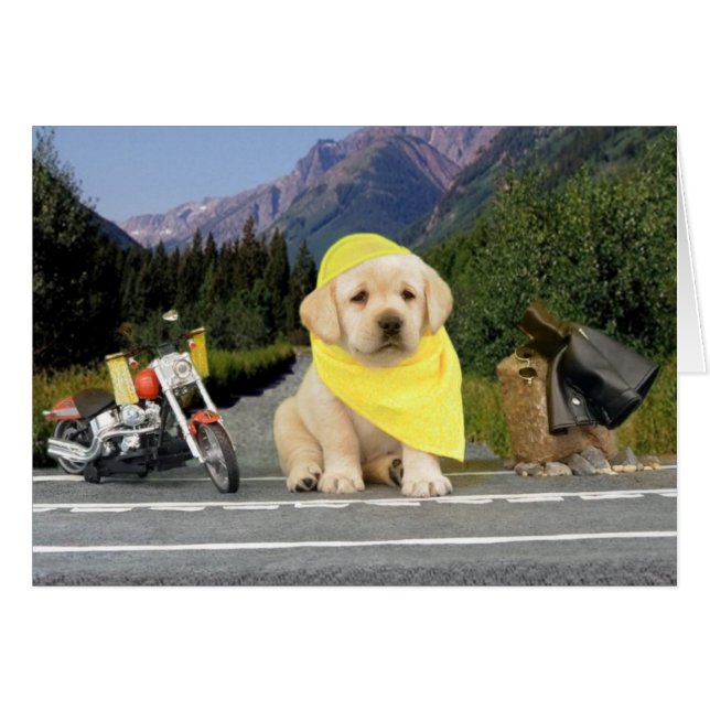 Leigh Ann vecka 5 Hälsningskort (Framsidan Horizontal)