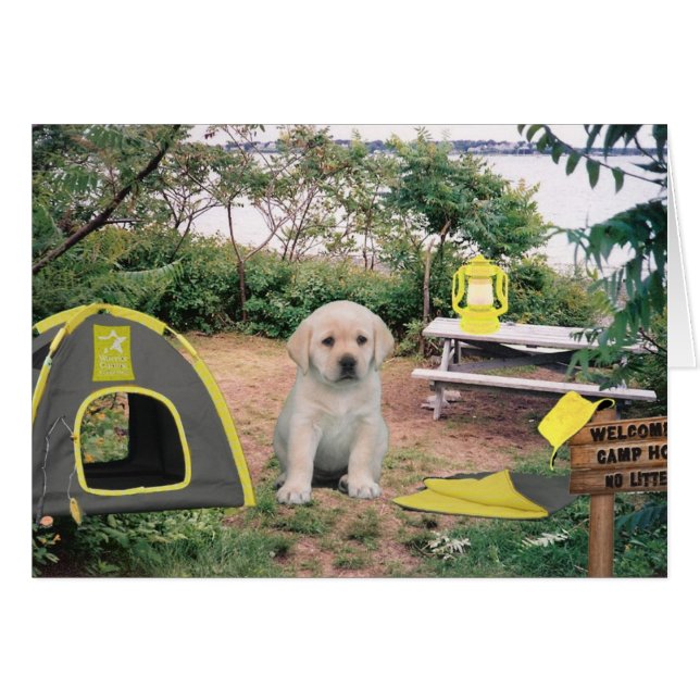 Leigh Ann vecka 6 Hälsningskort (Framsidan Horizontal)