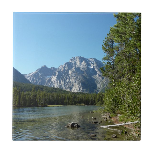 Leigh Lake vid Grand Teton National Park Kakelplatta (Framsidan)