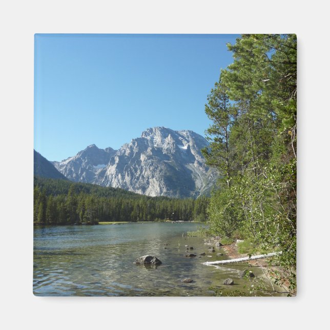 Leigh Lake vid Grand Teton National Park Magnet (Framsidan)