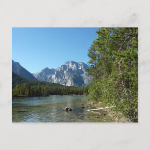 Leigh Lake vid Grand Teton National Park Vykort
