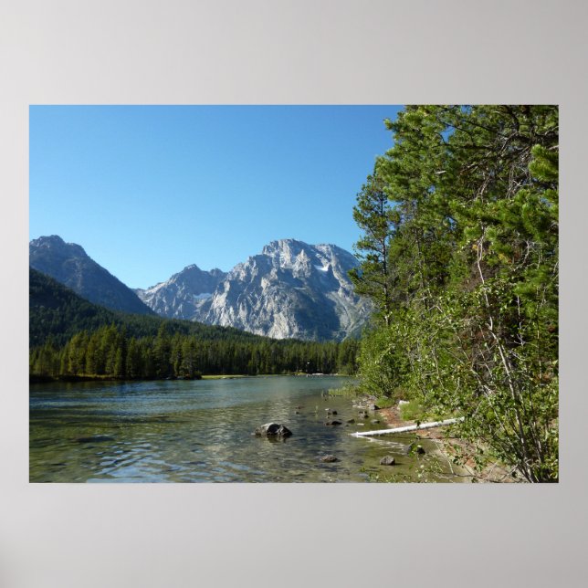 Leigh Sjö i Grand Teton nationalpark Poster (Framsidan)