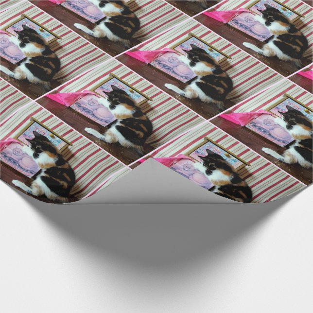 Leilanis garderob (4646) som slår in papper presentpapper (Hörn)