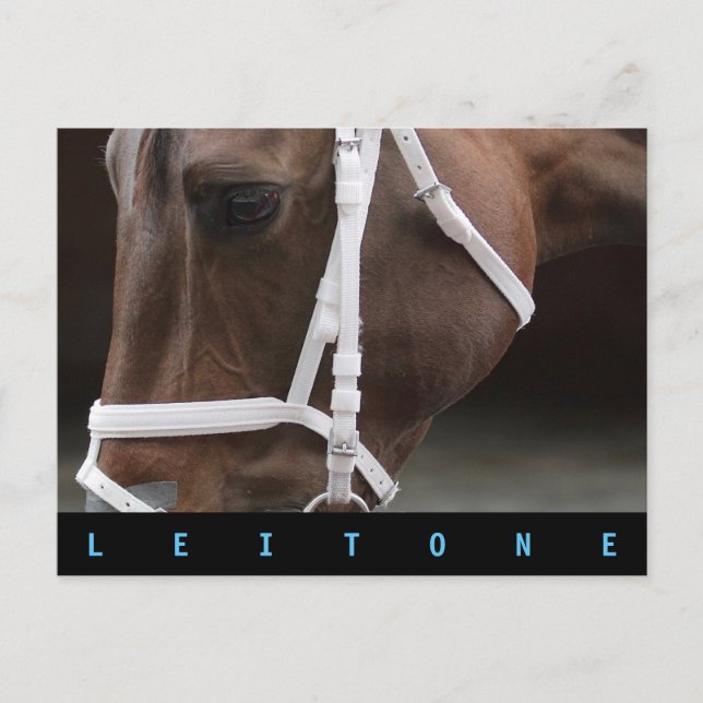 Leitone Vykort (Framsida)