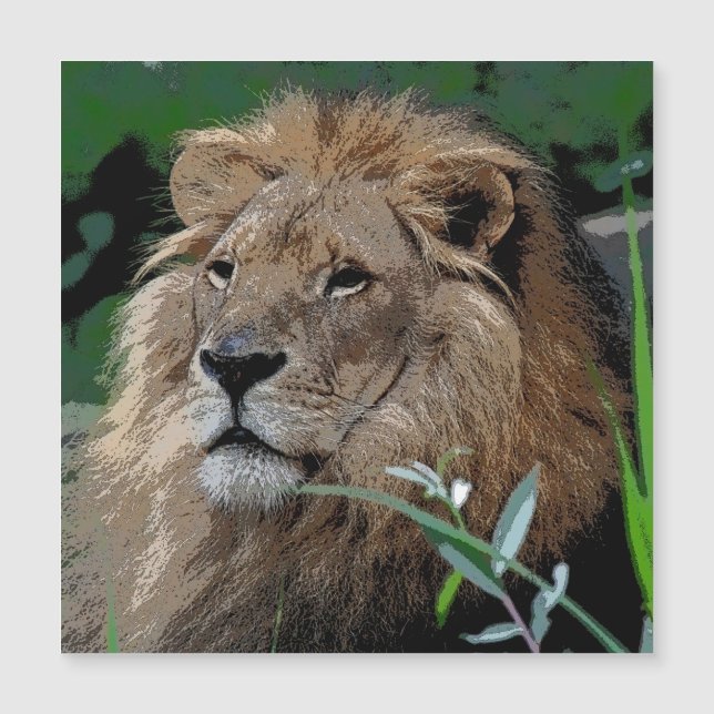 Lejon20150805 (Framsida)