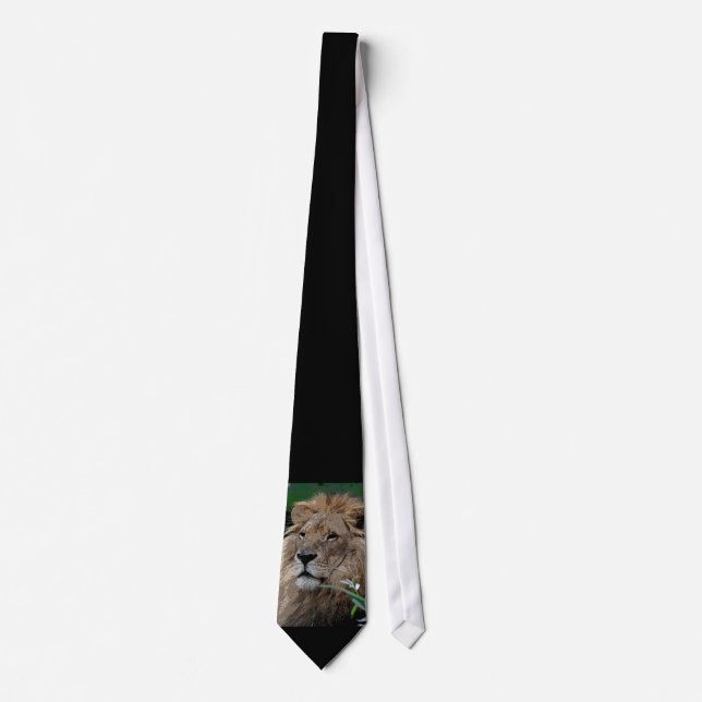 Lejon20150805 Slips (Framsida)