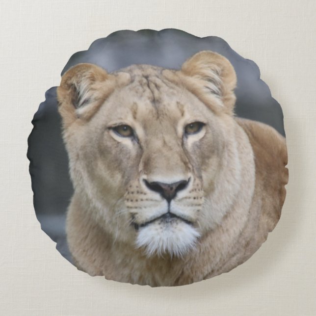 Lejon 004 rund kudde (Framsidan)