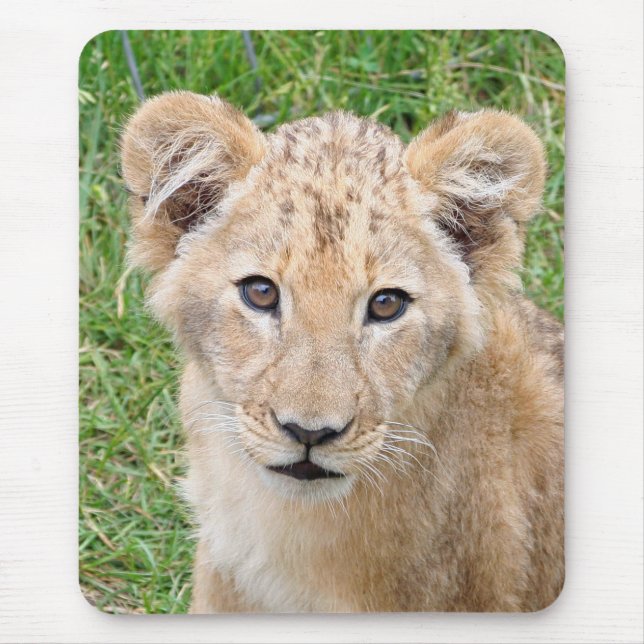 Lejon 016 musmatta (Framsidan)