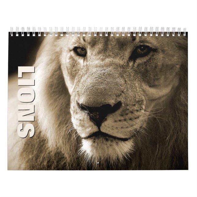Lejon [1] Väggskalender Kalender (Omslag)