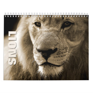 Lejon 2022-väggskalender kalender