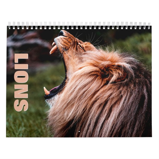 Lejon [2] Väggskalender Kalender (Omslag)