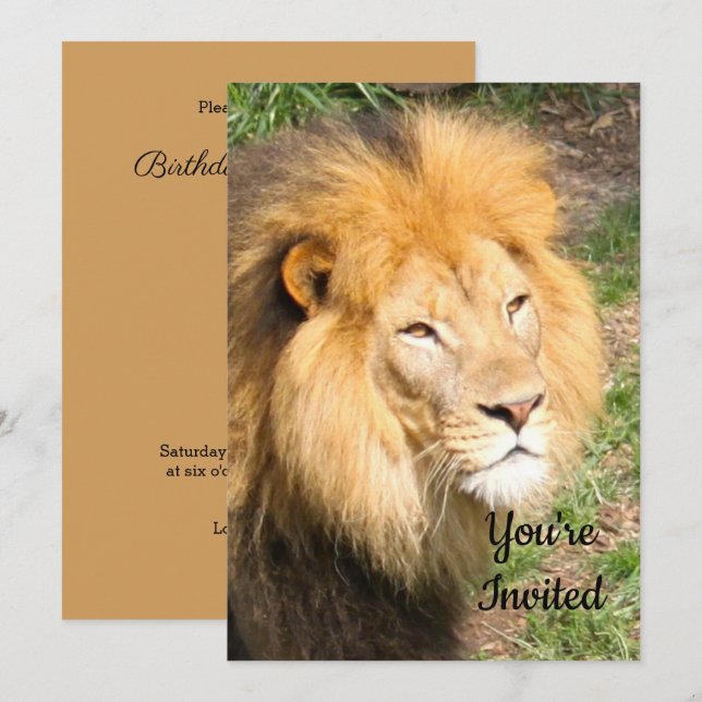 Lejon 6918 Uppmaning på födelsedagen Inbjudningar (Fram/baksida)