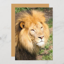 Lejon 6918 Uppmaning på födelsedagen Inbjudningar