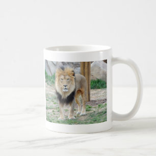 Lejon afrikan kaffemugg