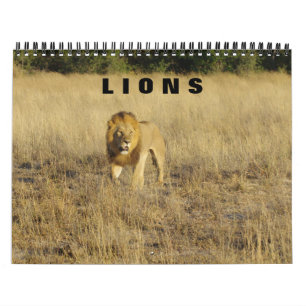 LEJON - ALLA LEJON-KALENDER KALENDER