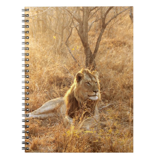 Lejon anteckningsbok (Framsidan)