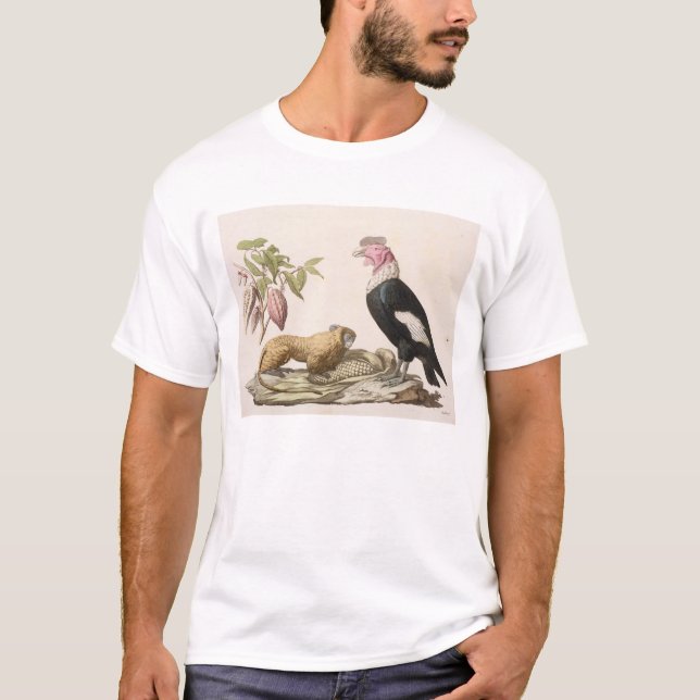 Lejon apa och condor, inföding till Chile eller T Shirt (Framsida)