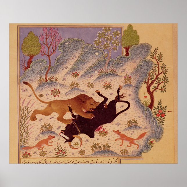 Lejon attack och dödande av en Bull Poster (Framsidan)