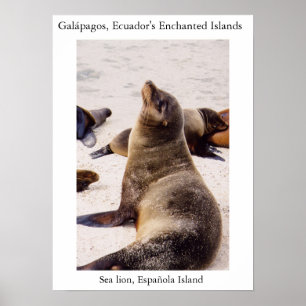 Lejon avspänning av nacke musklerna poster