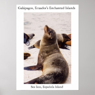 Lejon avspänning av nacke musklerna poster